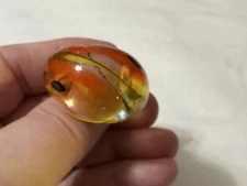 Giorgio Nason Venezia Italy Murano Venetian Yellow Orange Black Glass Ring 7.25