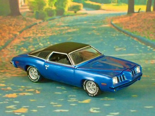 1. Gen 1973-1975 Pontiac Grand Am 455ci V8 Ram Air Sport Coupe Maßstab 1:64 LE G - Bild 5 von 5
