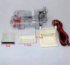 27022 Electrophoresis Tank High School Biological Equipment 122-3122 Fast shippi