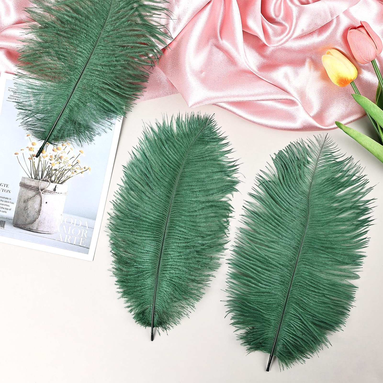 Blackish Green Ostrich Feathers 12pcs Natural Bulk 8-10Inch 20cm-25cm for Cra...