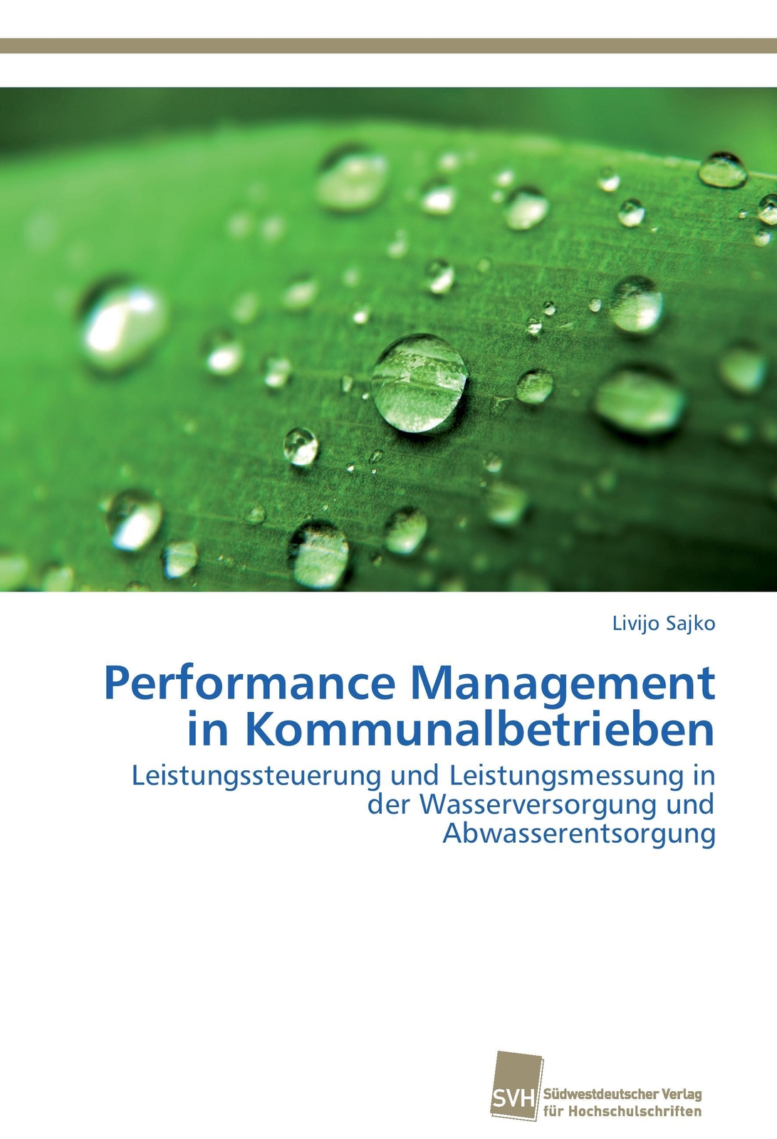 Thumbnail - Livijo Sajko | Performance Management In Kommunalbetrieben |