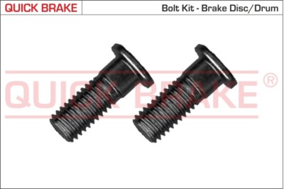QUICK BRAKE 11675K Screw Set, brake disc for FORD SEAT VW