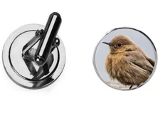 Bird Indian Chat codesd3 Dome Cufflinks Groom dad Wedding Jewellery boxed