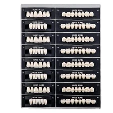 JMU Dental Acrylic Resin Denture False Teeth A1 A2 A3 Full Set Upper & Lower