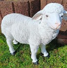 Afbeelding 3 van 4