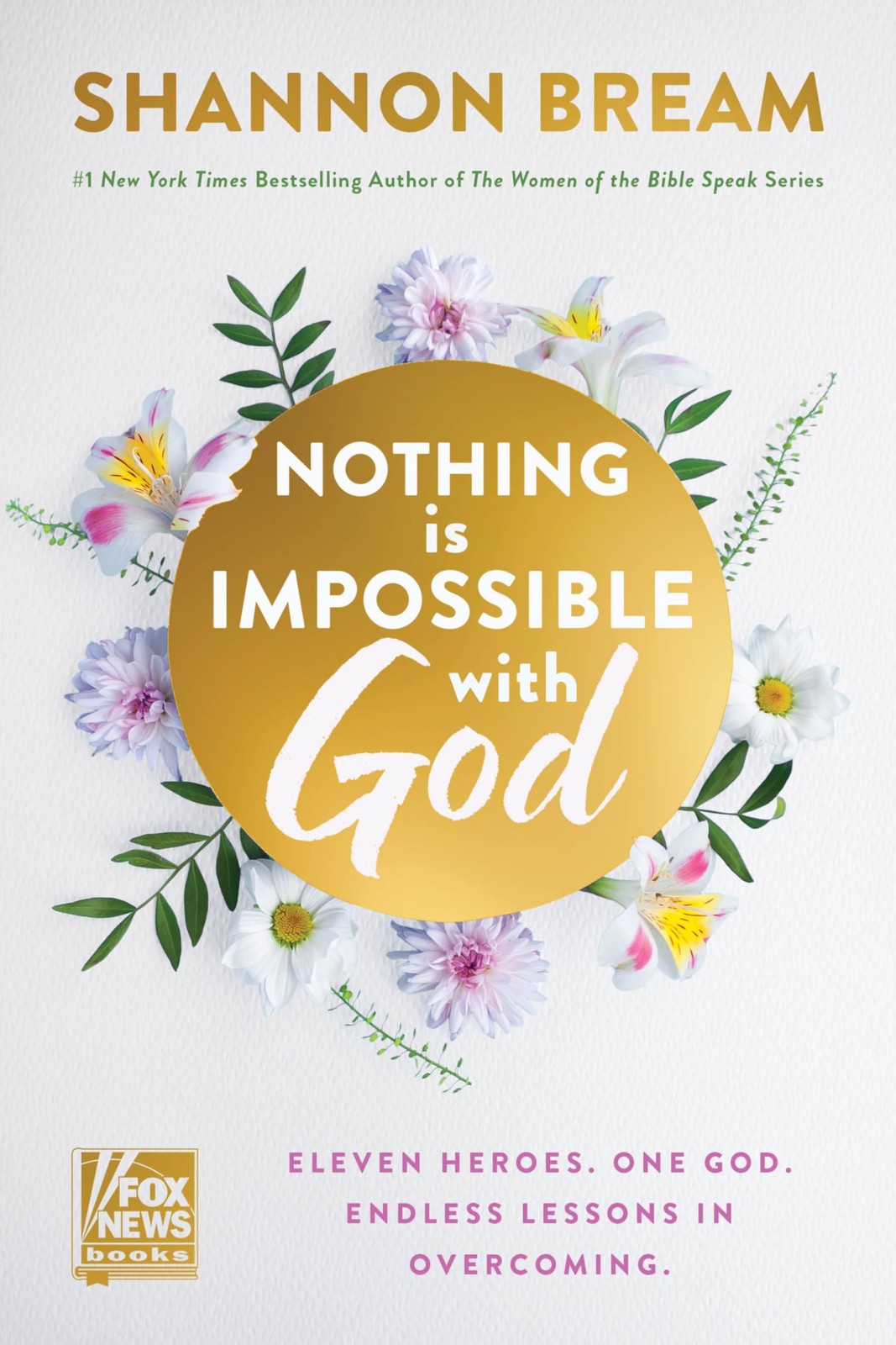 Nothing Is Impossible with God: Eleven Heroes by Anon9780063487659 (HB 2026) - Image 6