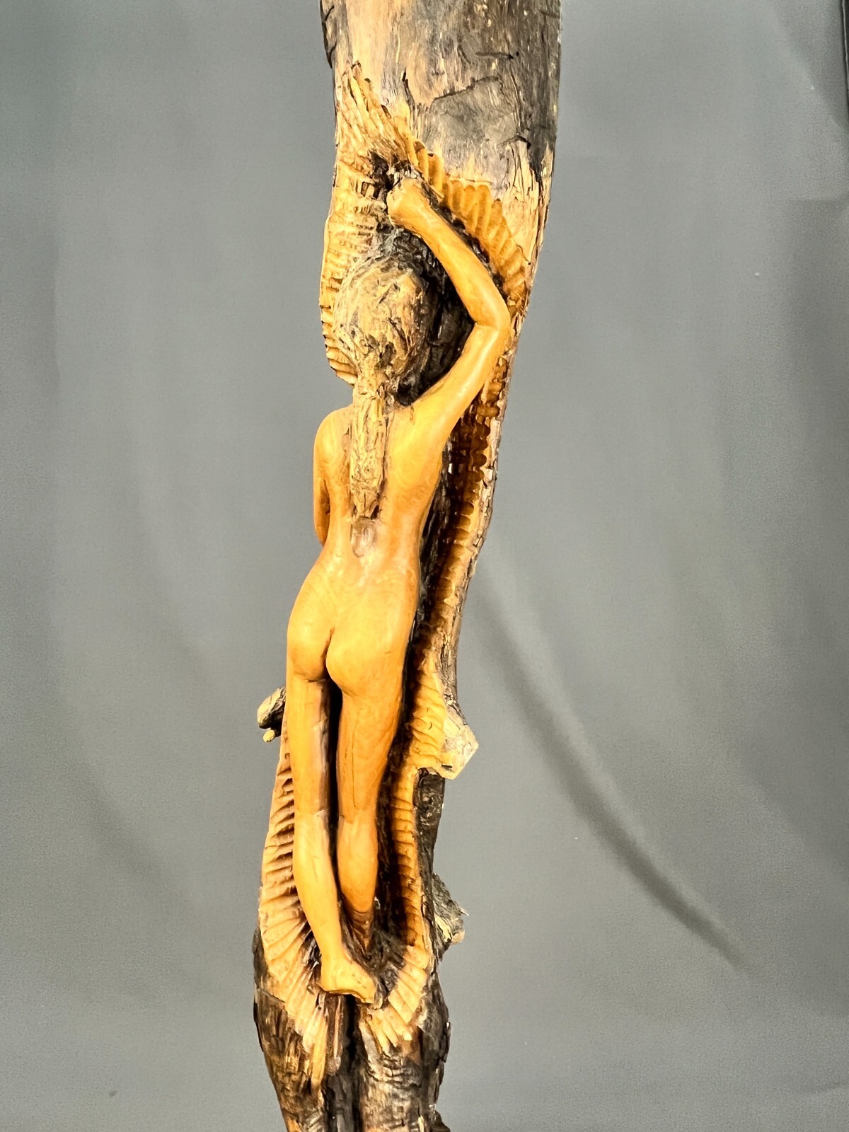 Picture 4 of 18