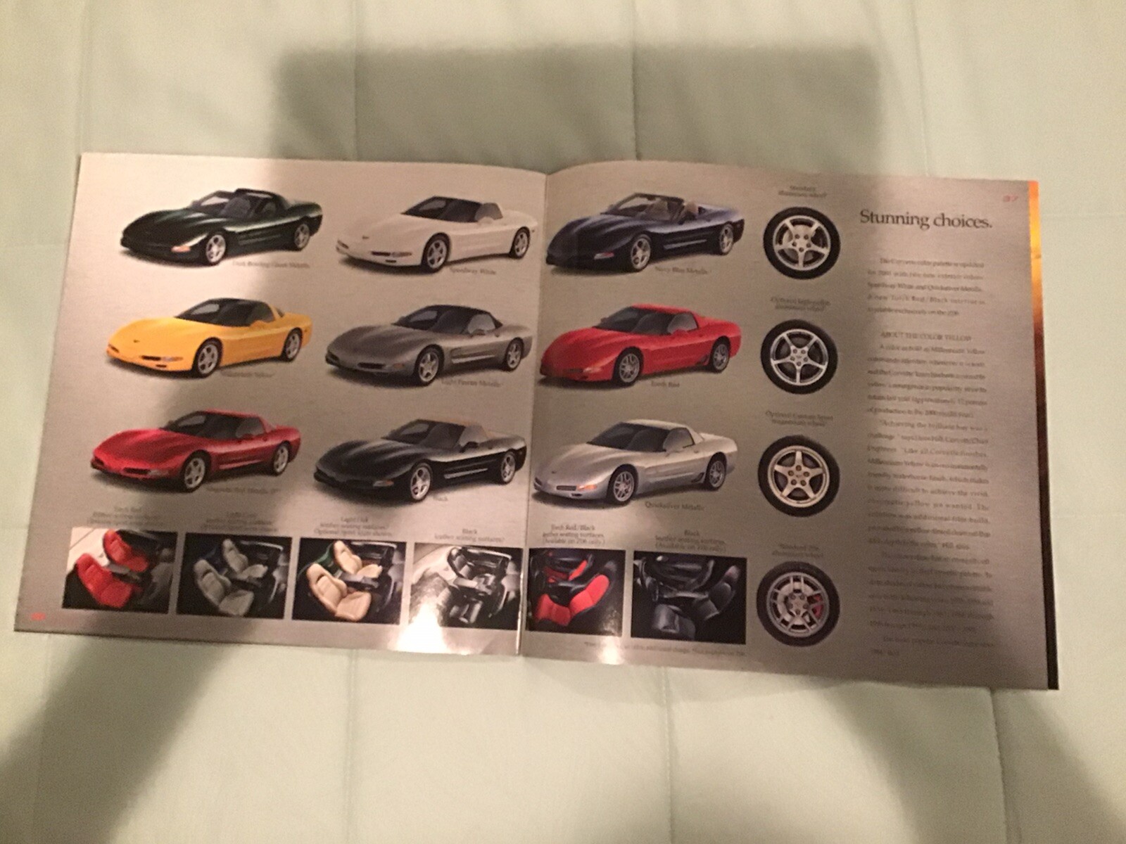 Picture 10 of 10