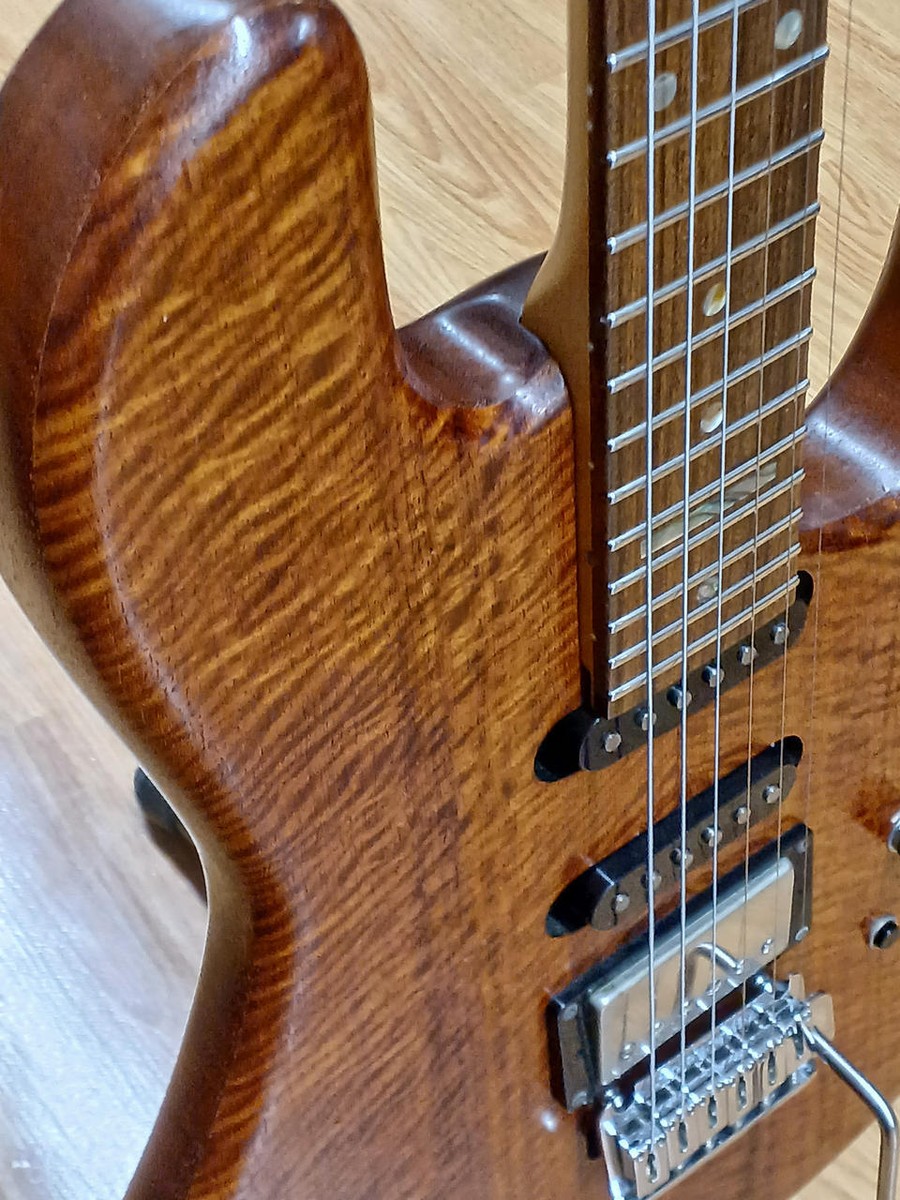 DRAGONFLY B6 IL CUORE Electric Guitar | eBay