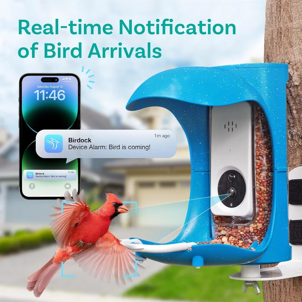 Alimentador inteligente de aves 1080p cámara AI identificar 11000+ aves captura automática videos de aves Foto 3 de 4