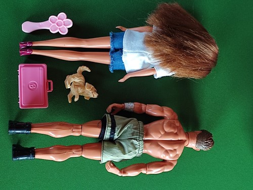 Barbie Auto, Mattel MAX STEEL 1998, Hund, Koffer, Haarbürste, Caprio, Frau 1991 - Bild 6 von 19