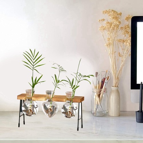 Florero de Terrario de Plantas, JarróN Transparente con Soporte de Madera, G3H3 - Imagen 4 de 6