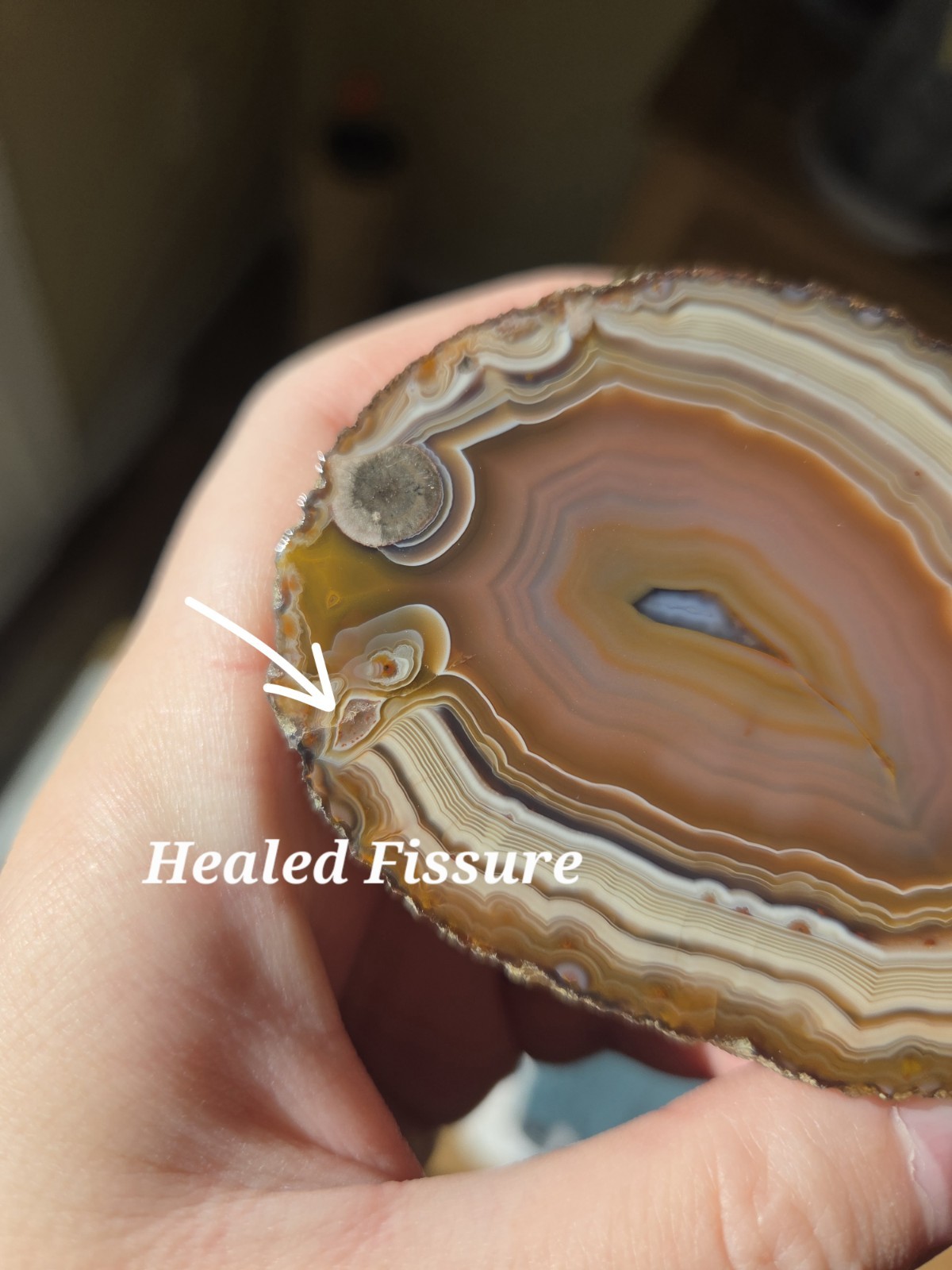 Large Chinese Fighting Blood Agate Warring State Agate Banded Half Nodule