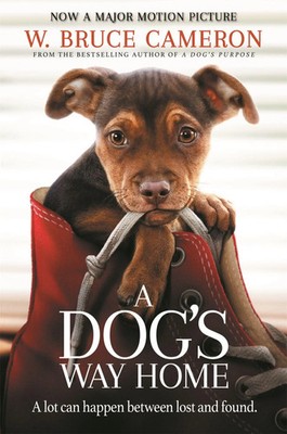 A Dog's Way Home | W. Bruce Cameron | Taschenbuch | A Dog's Way Home | Englisch