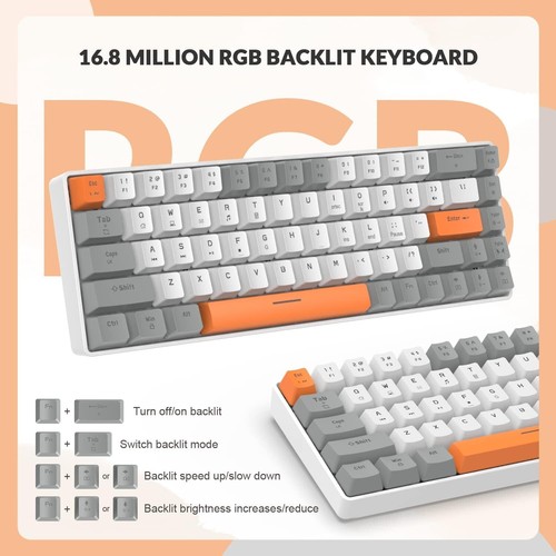 ZIYOU LANG T8 60% RGB Wired Gaming Keyboard and Mouse Combos+Coiled USB C Cable - Picture 22 of 45