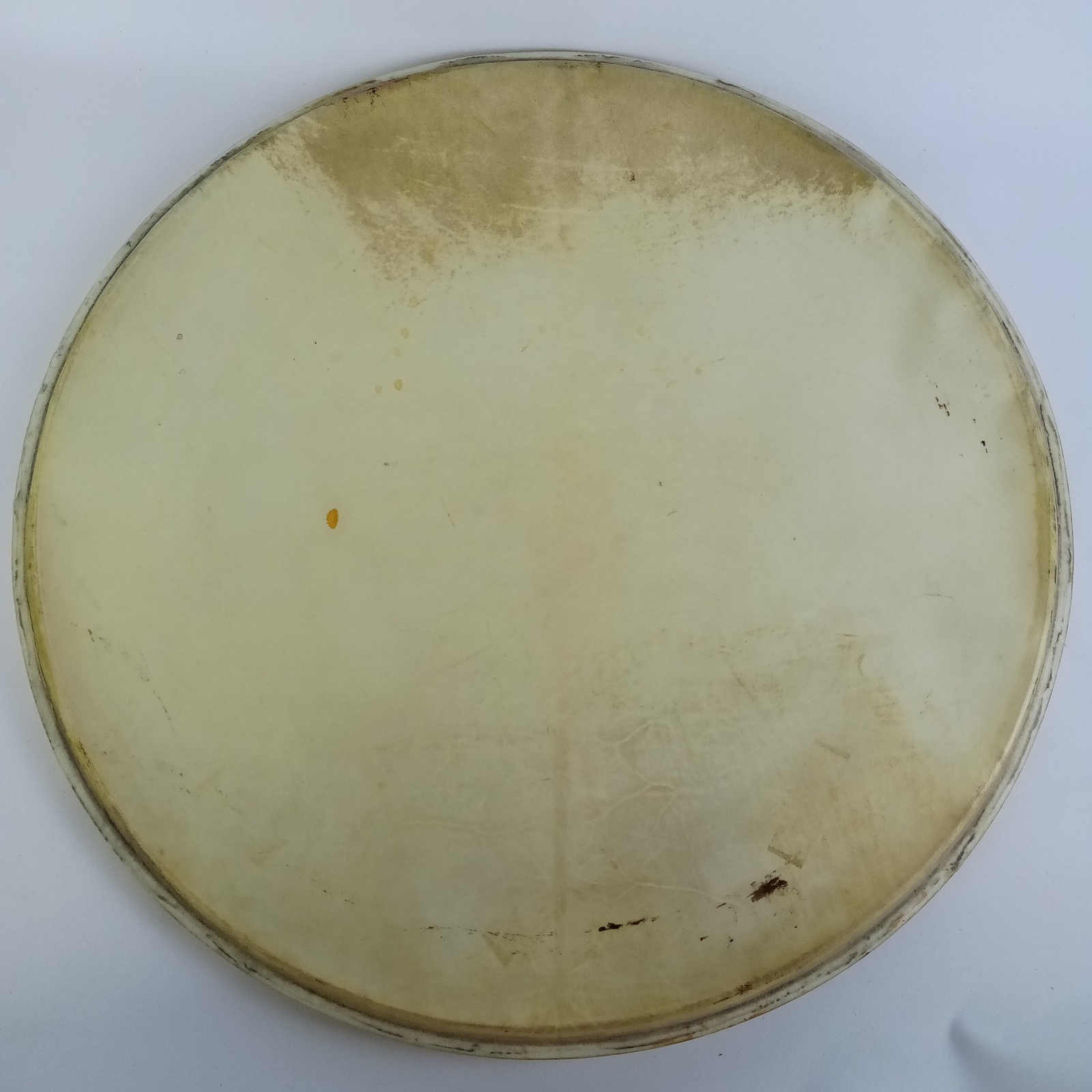 Ludwig / Leedy 22" Bass Drum Calfskin Head Vintage 40s 50s Batter