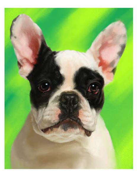 artav French Bulldog 04 Puppy Pup Dog Art Print