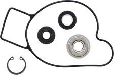 Vertex Water Pump Repair Kit 721275