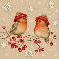 20 Servietten Birdie Talk Rotkehlchen VöGel Tiere MüTze Schneeflocken 33X33Cm
