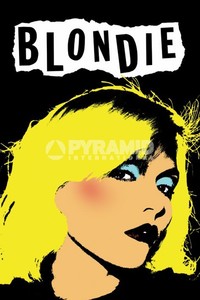 Poster Blondie Debbie Harry Punk Stile Pop Art Originale Importazione Inglese Ebay
