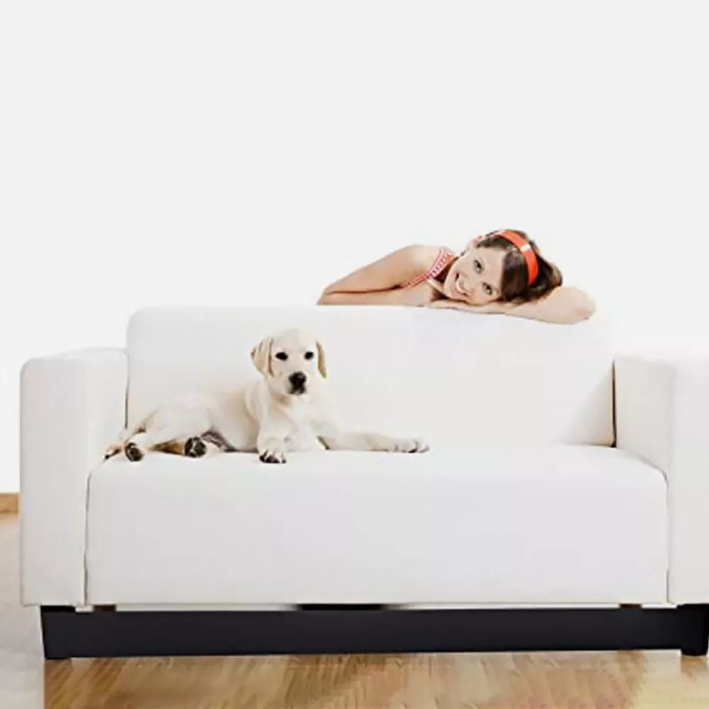 Cat under sofa sales