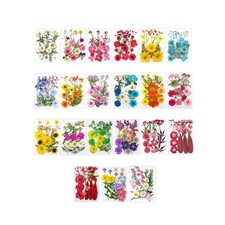 Getrocknete gepresste Blumen, echte getrocknete Blumen zum Basteln,