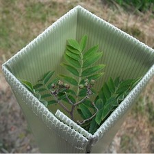 2FT DEFENDER PRO PLASTIC TREE & SHRUB SHELTER GUARD RABBIT DEER PLANT PROTECTION