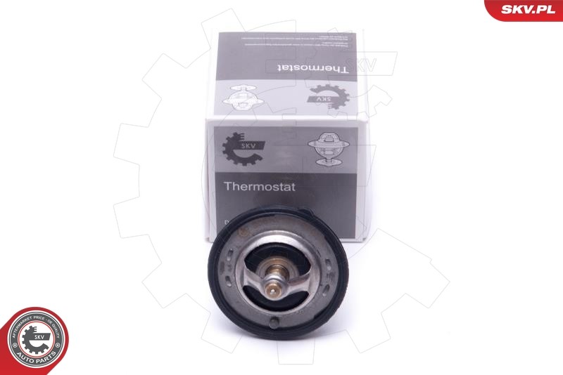 ESEN SKV 20SKV131 Thermostat, coolant for FORD,FORD USA,MAZDA,SUZUKI