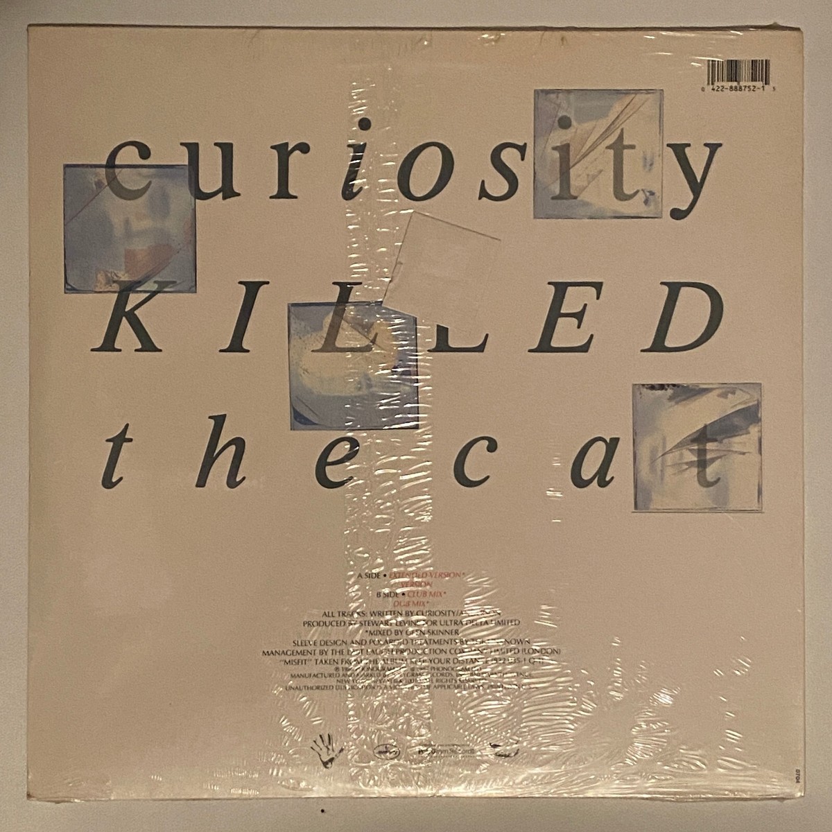 CURIOSITY KILLED THE CAT MISFIT 12