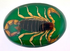 Hecho en Mexico Real Scorpion Vintage Western Belt Buckle REALLY RODEO MEN RARE