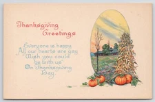 Thanksgiving Greetings Pumpkins Field Postcard