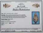 COA AUTHENTIC 2 11/16"  DELHI STEMMED SPEAR NICE ARTIFACT STONE TOOL — photo 1