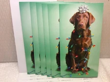 RSVP CHRISTMAS MONEY HOLDER CARDS New w/Envelopes LOT 6 "Light the Christmas.."