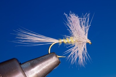 Fliegentom Trockenfliege - 3 Stück Tom's S-Dun - Blue Winged Olive