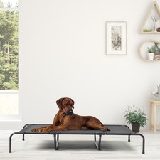 In/Outdoor 60 in Cooling Elevated Dog Bed with Metal Frame Raised Pet Bed Cot