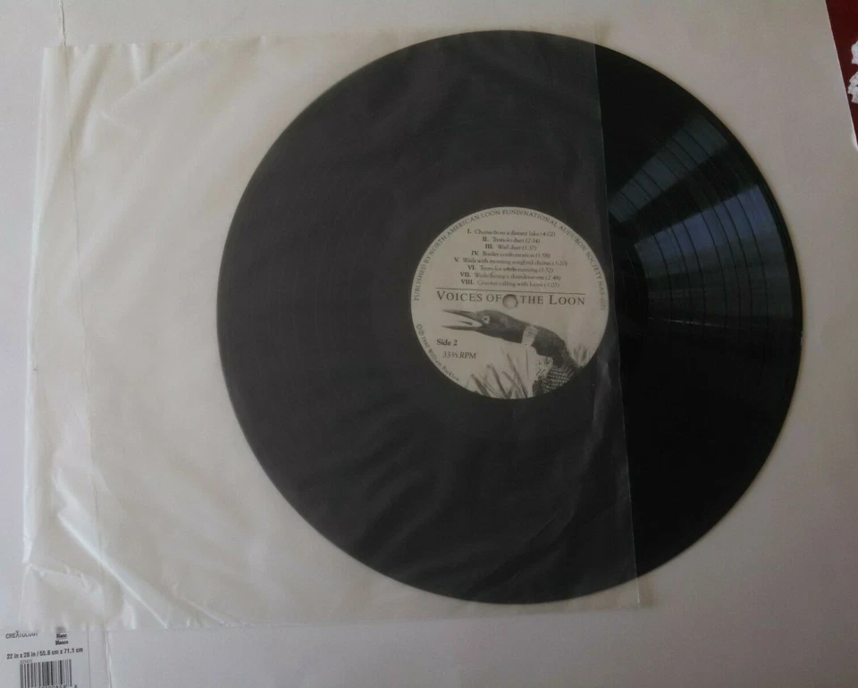 Voices of the Loon NAS-1001 1980 The National Audubon Society LP - Image 3 of 4