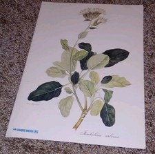 MENU Chandris America Line's October 1971 Welcome Dinner GREEK CRUISE LINE Vtg