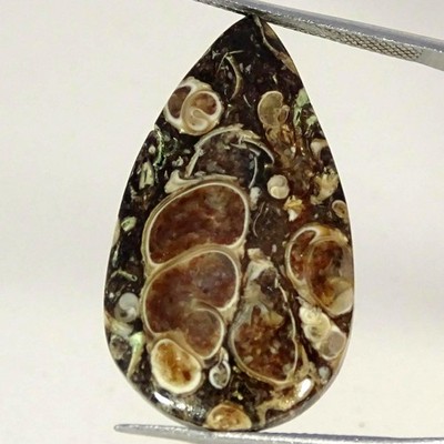 23.50Cts 100% Natural Tutela Fossil Pear Cabochon Gemstone 18X32X5MM