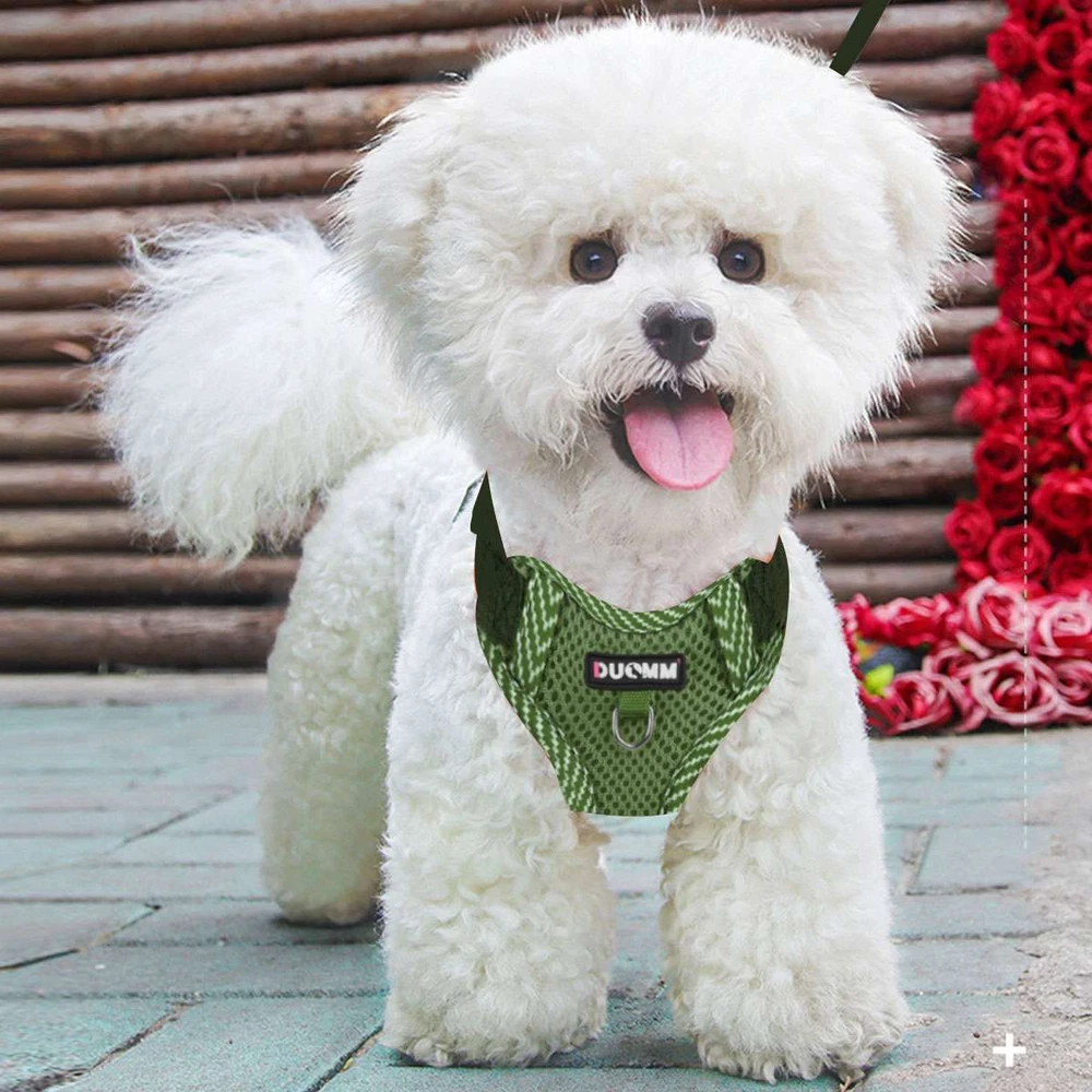 Dog Harness Adjustable Puppy Cat Harness Vest Pet Outdoor Walking Collar Leash