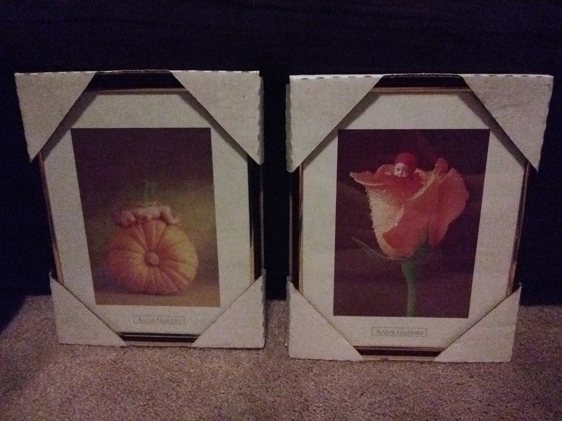 (2) Vintage Anne Geddes Framed Wall Pictures Prints *  Brand New!