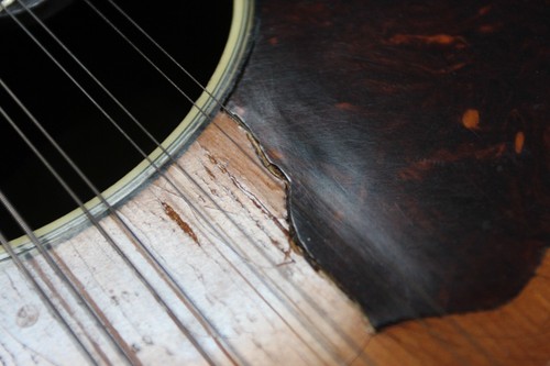 Mandolino Vega Company 1920 vintage - 8 corde BELLE CONDIZIONI!! PERFETTAMENTE FUNZIONANTE - Foto 18 di 18