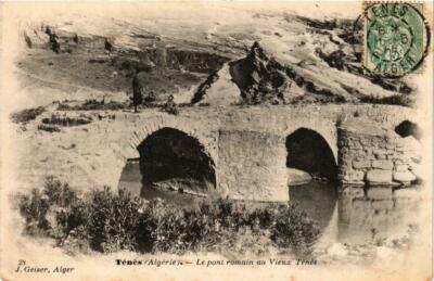 CPA AK ALGERIA Geiser 28 TENES Le pont romain au Vieux TENES (756157)