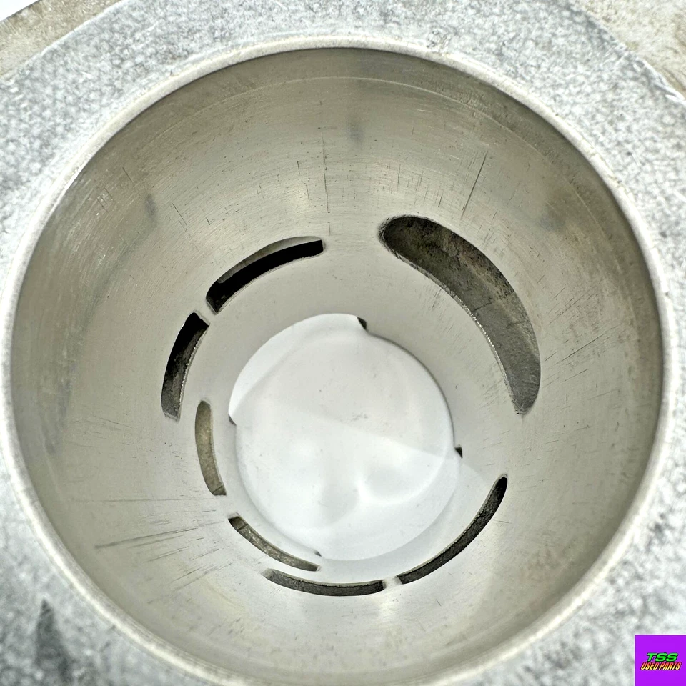 80-96 ARCTIC CAT 440 JAG PANTHER Z CYLINDER ASSEMBLY 3007-559 — 第 3/3 张图片