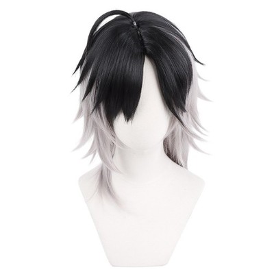Heat-Resistant Cosplay Wig, The Second Castle, Black + Gray Gradient, Long, 40C_