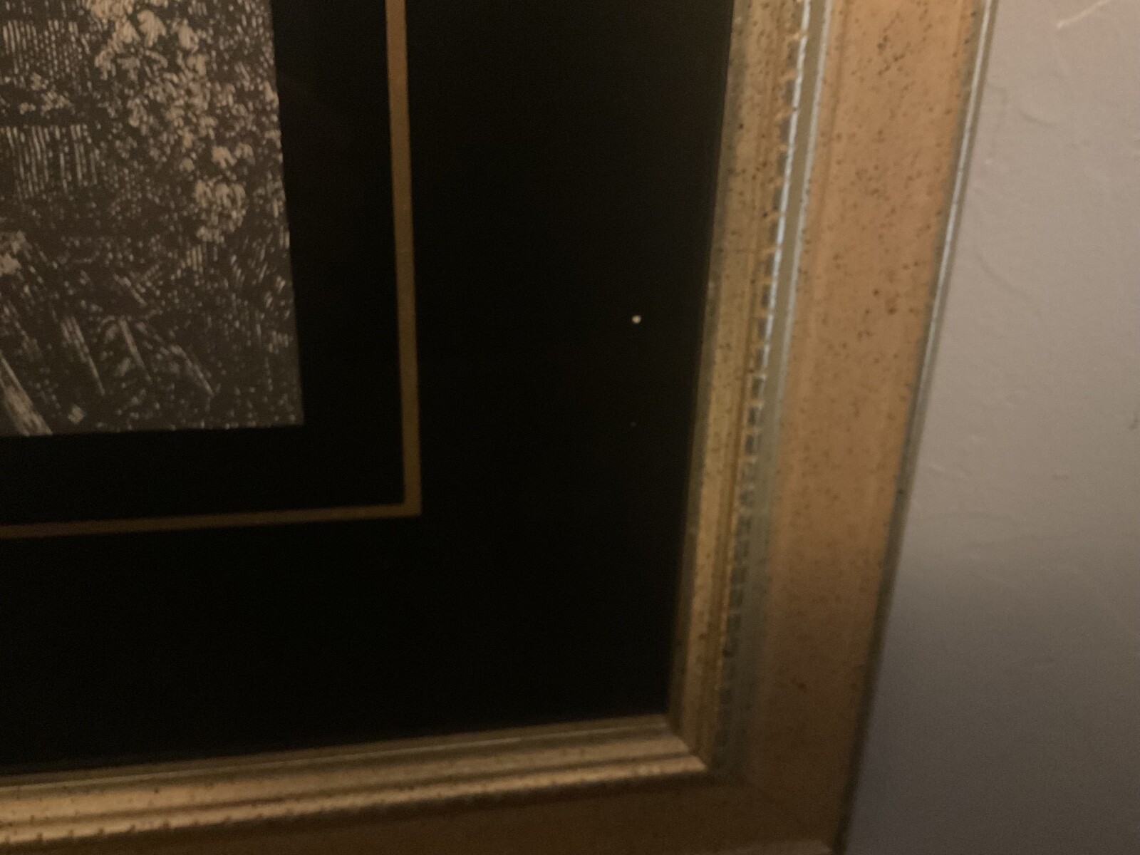 Picture 8 of 15