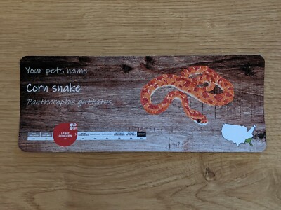 Kornnatter Gehege Zoo Beschilderung Namensschild Aufkleber handbemalt Design