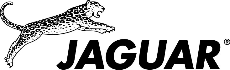 Jaguar JP38 Effilierschere 5,25 Zoll 38 Zähne 46526 SONDERPREIS AUSLAUFMODELL