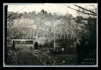 Foto, junge Mäner auf einen Ausflug in/bei Aschersleben, 1937; L107L