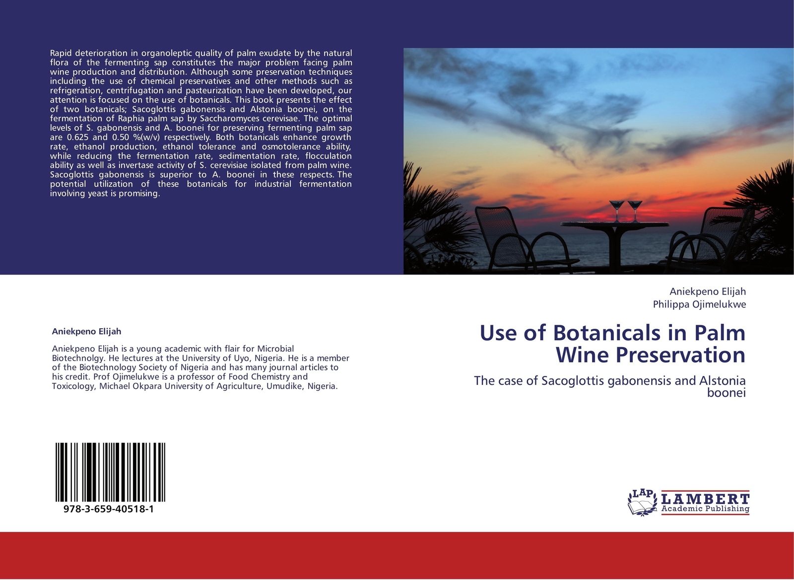 Thumbnail - Use Of Botanicals In Palm Wine Preservation Aniekpeno Elijah (u. A.)