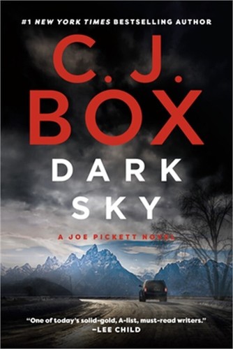 Dark Sky (Paperback or Softback)